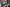 Thumbnail 62