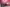 Thumbnail 55
