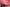 Thumbnail 54