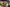 Thumbnail 38