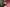 Thumbnail 37