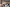 Thumbnail 35