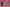 Thumbnail 18