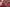 Thumbnail 25