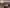 Thumbnail 69