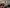 Thumbnail 66