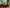Thumbnail 62
