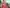 Thumbnail 61
