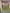 Thumbnail 78