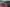 Thumbnail 83