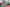 Thumbnail 56