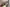 Thumbnail 57