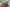 Thumbnail 54