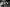 Thumbnail 53