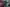 Thumbnail 20