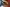 Thumbnail 16