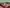 Thumbnail 77