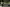 Thumbnail 48