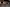 Thumbnail 37