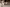 Thumbnail 34