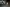 Thumbnail 31