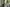 Thumbnail 24