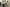 Thumbnail 20