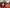 Thumbnail 74