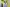 Thumbnail 17