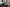 Thumbnail 16