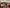 Thumbnail 73