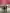 Thumbnail 63