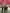Thumbnail 60