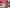 Thumbnail 51