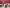 Thumbnail 43