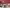 Thumbnail 42