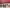 Thumbnail 41