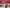 Thumbnail 40
