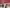 Thumbnail 39