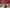 Thumbnail 37
