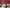 Thumbnail 36