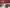 Thumbnail 32