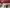 Thumbnail 31