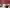 Thumbnail 30