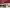 Thumbnail 23