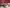 Thumbnail 21