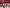 Thumbnail 20