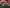 Thumbnail 17