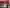 Thumbnail 16